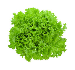 Salad leaf. Lettuce isolated transparent png