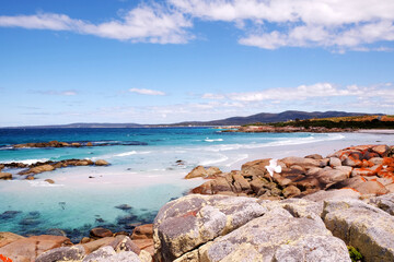 Fototapeta na wymiar Bay of Fires Tasmania