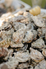 Huitres du bassin d'arcachon bourriche au format vertical lors d'un cocktail de mariage en été