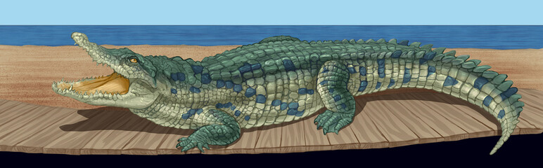 Crocodile alligator green monster with jaws