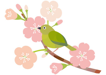 メジロと桜の春イラスト素材１