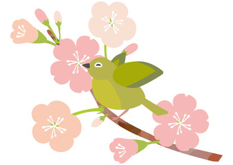 メジロと桜の春イラスト素材２