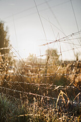 Lever de soleil en hiver avec de la rosée et du brouillard dans la campagne française