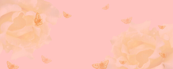 Dreamy pink gradient background with roses flowers and butterfly merging in a pastel colored flower composition. Floral border frame and copy space. Template wide banner
