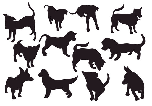 Big set of dog silhouettes isolated on white background. pet vector illustration..

