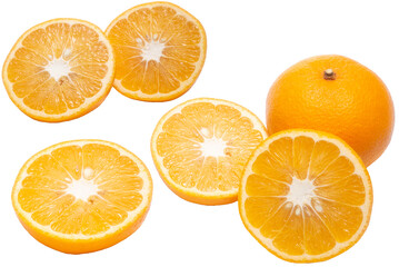 半分にカットしたみかんの透過画像