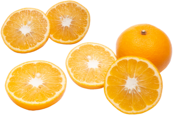 半分にカットしたみかんの透過画像