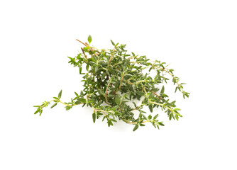 Bunch of fresh thyme isolated on white
