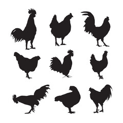 collection of black and white silhouette images of chickens