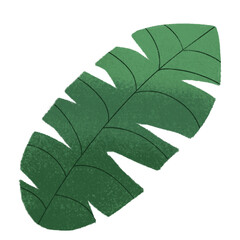 Leaf hand drawing illustration