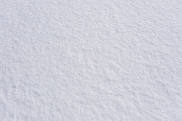 Fototapeta premium 長野県の雪原