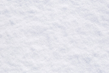 長野県の雪原