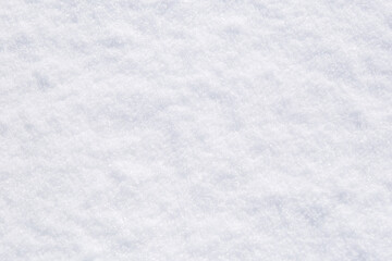 Fototapeta premium 長野県の雪原