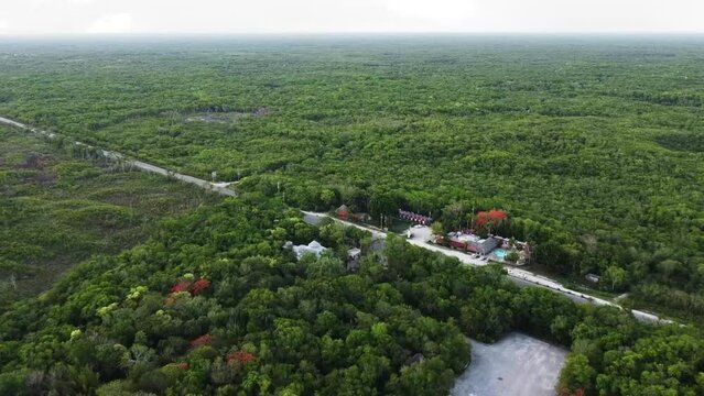 Este video &uacute;nico e impactante muestra un dron volando por encima de los hermosos bosques y junglas de Canc&uacute;n y la Riviera Maya en M&eacute;xico. Las tomas a&eacute;reas capturan la belleza natural del paisaje.