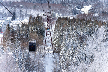 Point of view cableway moving up to snowy mountain peak ski resort. Aerial view of pine tree forest...