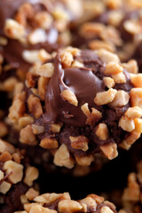Close up of chocolate pods with crunchy nuts and chocolate sauce