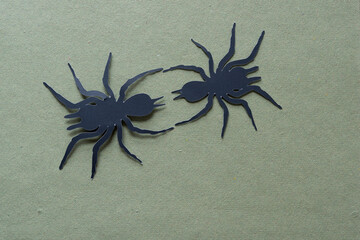 two black paper spider glyph dingbat cutouts on rough green paper