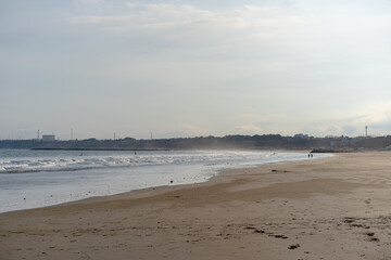 Sea Landscape