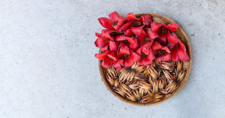 Bombax ceiba flower or red cotton tree use in rice noodle Nam Ngiao soup curry in northern Thailand