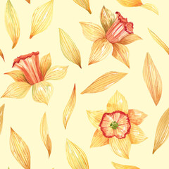 Yellow, floral background with hand drawn primroses, daffodil flowers and petals. Seamless, floral pattern with daffodils.