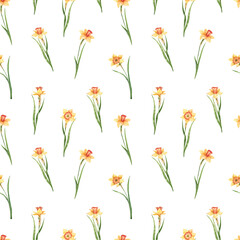 Yellow daffodils on white background watercolor, seamless pattern. Delicate, spring, floral background. Applicable for textiles, wallpapers, decor.