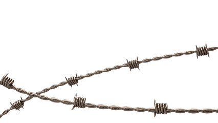 The  barbed wire png image
