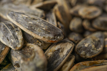 close-up of roasted sunflower seeds with salt selective focusing