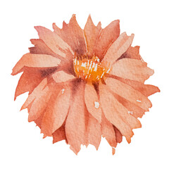 Orange flower watercolor