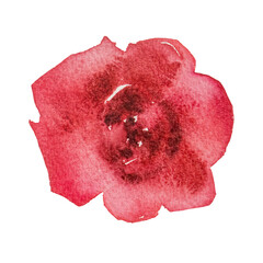 Red flower watercolor