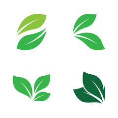 Green leaf illustration nature logo design