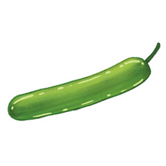cucumber