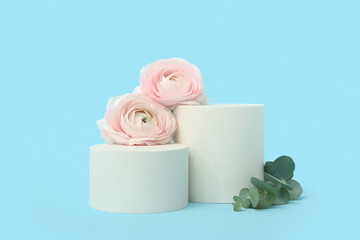 Podiums with beautiful flowers and eucalyptus branch on blue background. Hello spring