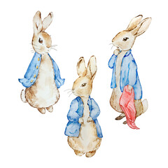 Watercolor cute rabbits in a blue jacket
