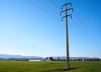 power lines on a field