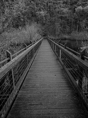  Infrared boardwalk pathway through a park