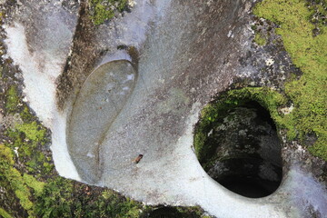 ミルフォード・ロードの景勝地キャズムの、水の流れが造った奇岩(ニュージーランド)