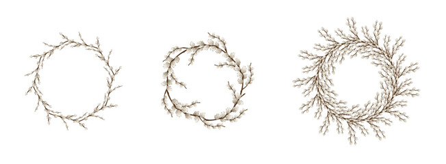 Set of frames made of pussy willow branches on white background