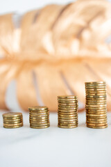 increasing your savings or profits, stacks of progressively increasing coins in front of golden leaf