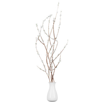 decoration indoor plant in vase, isolated on white or transparent background, photorealistic 3d render