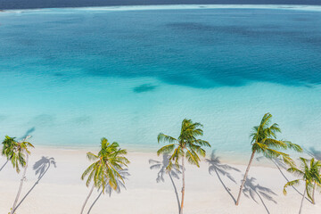 Beach palm trees on the sunny sandy beach and turquoise ocean from above. Amazing summer nature landscape. Stunning sunny beach scenery, relaxing peaceful and inspirational beach vacation template
