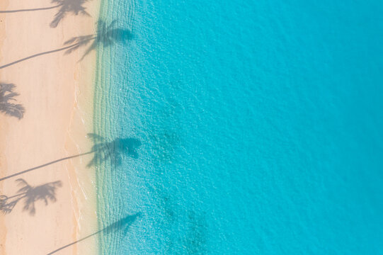 Beach palm trees on the sunny sandy beach and turquoise ocean from above. Amazing summer nature landscape. Stunning sunny beach scenery, relaxing peaceful and inspirational beach vacation template
