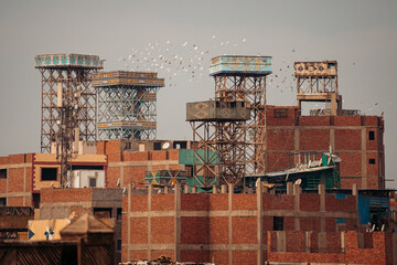 Flock of Pigeons Approaching Rooftop Birdhouses, Cairo Egypt