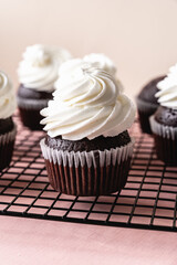 chocolate cake with chocolate muffin cupcake with butter cream and syrup and whipped cream