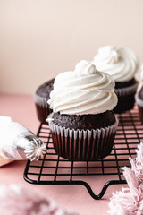 chocolate cake with chocolate muffin cupcake with butter cream and syrup and whipped cream