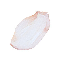 Garlic watercolor clip art