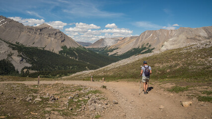 Caucasian hiker walking descending on Wilcox Ridge, Jasper National Park, Alberta, Canada