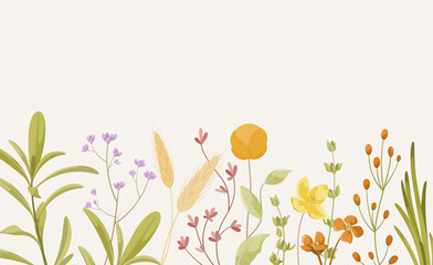 Obraz na płótnie Canvas A card with wildflowers and herbs. Nature.