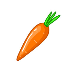 Cartoon carrot illustration. Vector vegetable for vitamin diet. Orange agriculture. Organic plant for healthy lifestyle