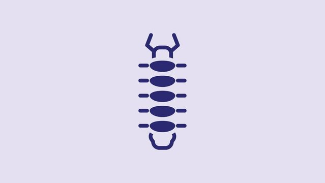 Blue Centipede insect icon isolated on purple background. 4K Video motion graphic animation