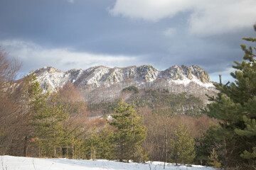 Bulgaria , Rhodope mountains the blue rocks close to Belintash,  Winter view